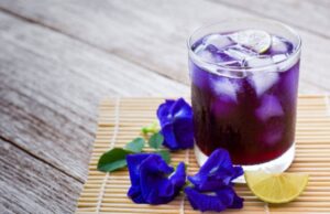 蝶豆花