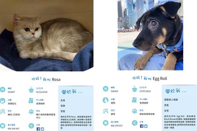 SPCA香港愛護動物協會