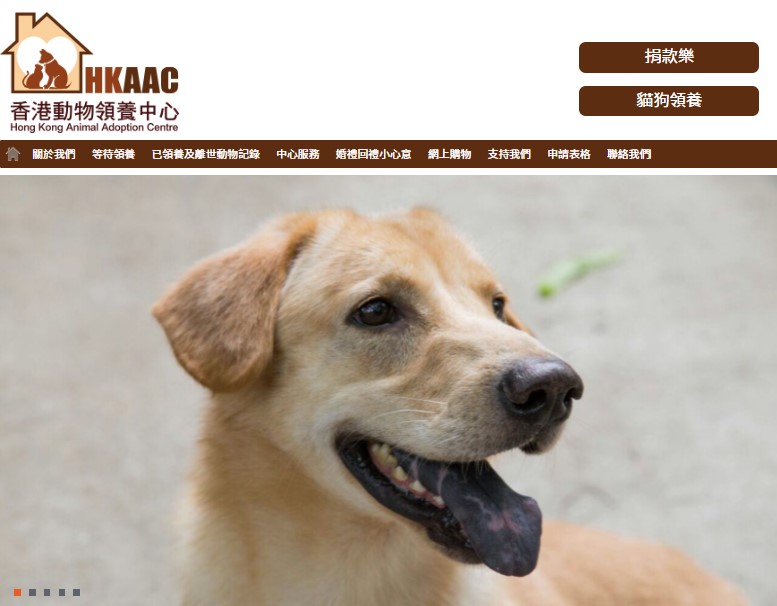 香港動物領養中心