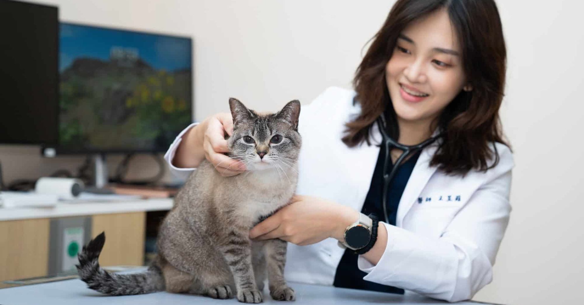 獸醫學系