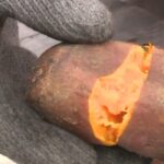（便宜又有飽足感的食物）