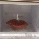 （枸杞保存方法）